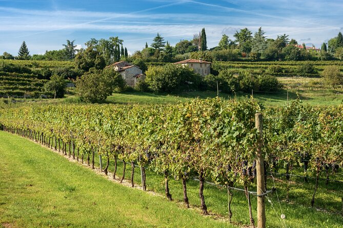 From Verona and Garda: Valpolicella Wine Experience - Additional Information and Accessibility