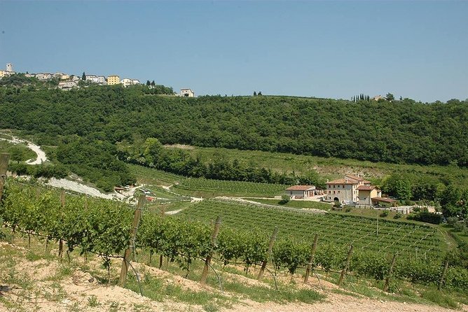From Verona and Garda: Valpolicella Wine Experience - Pricing and Group Size Variations