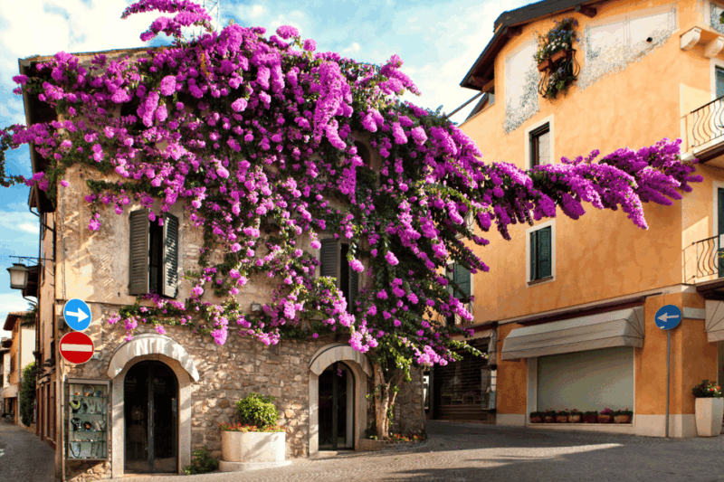 From Verona: discover Lake Garda and Sirmione private tour - Who Is This Tour Best For?