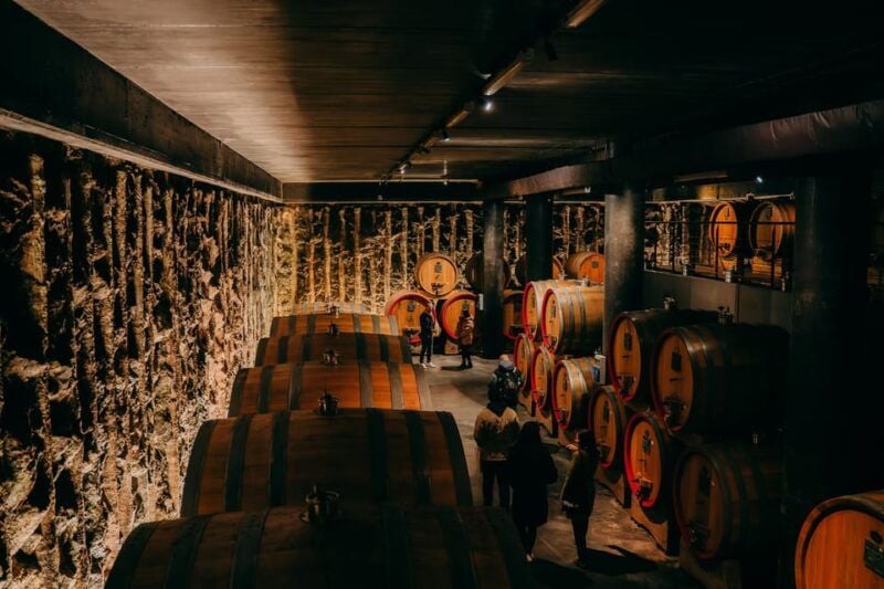 From Verona: Valpolicella and Amarone Wine Tasting Tour - Good To Know