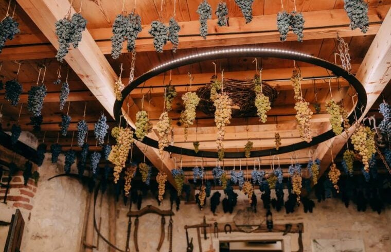 From Verona: Valpolicella and Amarone Wine Tasting Tour - FAQ