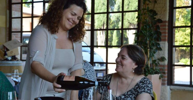 From Verona: Valpolicella Half-Day Small Group Wine Tour - Tour Details