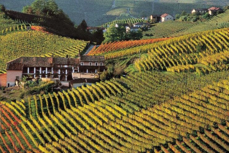 From Verona : Valpolicella Wine Experience - Good To Know