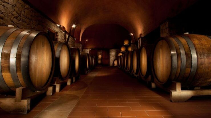 From Verona: Valpolicella Winery Tour With Tastings - Tour Details