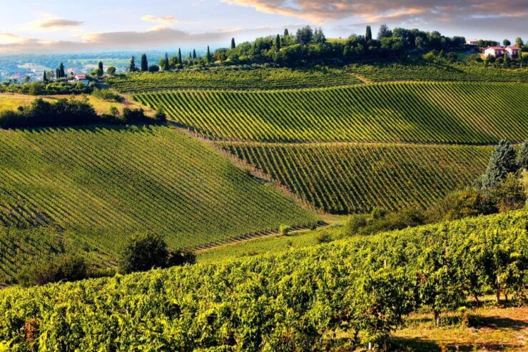From Viareggio: Siena, San Gimignano & Chianti Wine Tasting - Itinerary