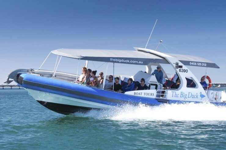 From Victor Harbor: Seal Island Cruise - Activity Details