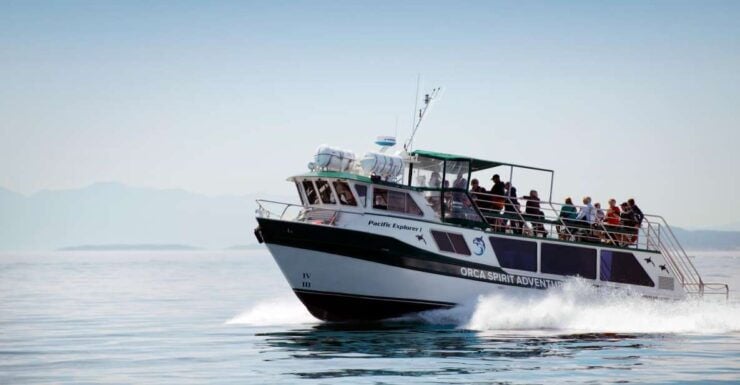 From Victoria: Whale Watching 3-Hour Trip on Covered Boat - Booking Information