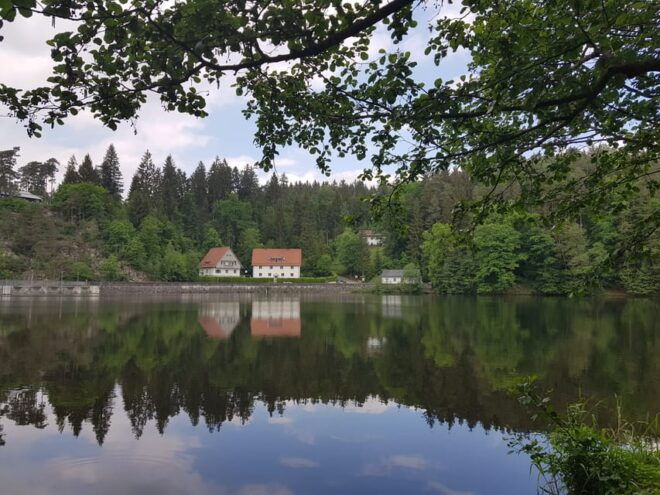 From Viechtach: Regen River Canoe Tour to Höllenstein Lake - Important Information