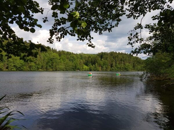 From Viechtach: Regen River Canoe Tour to Höllenstein Lake - What to Bring
