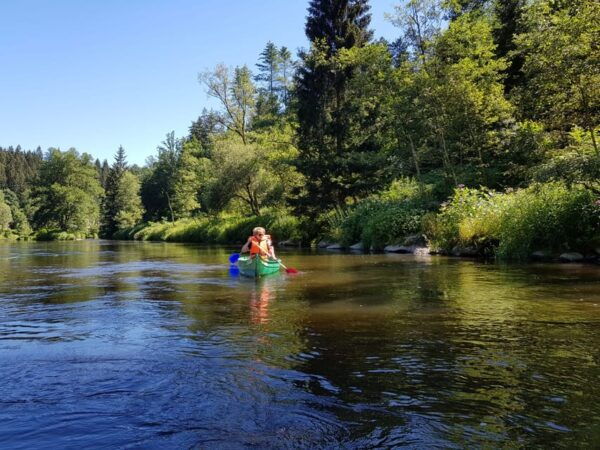 From Viechtach: Regen River Canoe Tour to Höllenstein Lake - Customer Reviews