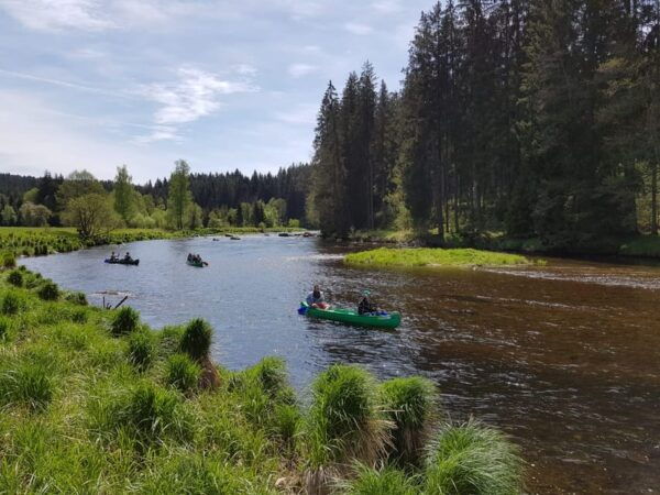 From Viechtach: Regen River Canoe Tour to Höllenstein Lake - Booking and Cancellation Policies