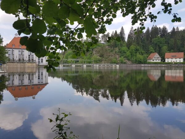 From Viechtach: Regen River Canoe Tour to Höllenstein Lake - Frequently Asked Questions