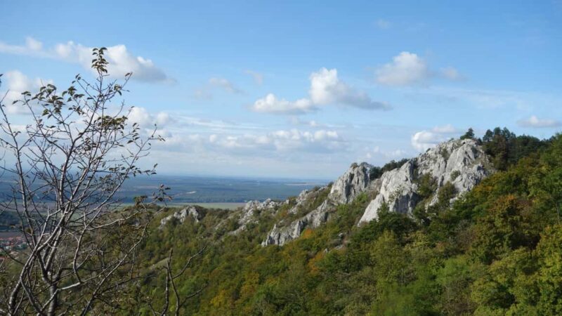 From Vienna: Bratislava & Countryside Guided Half Day Tour - Good To Know