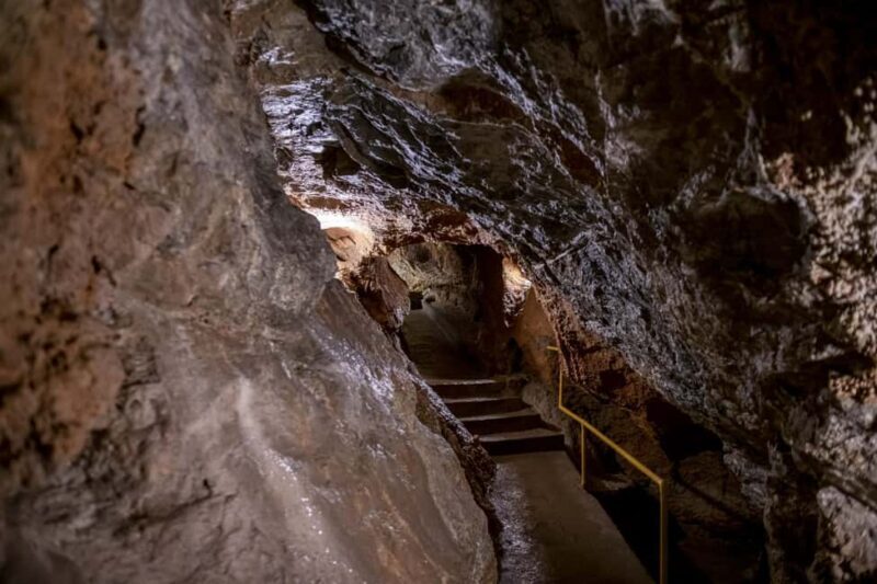 From Vienna: Bratislava & Countryside Guided Half Day Tour - Who Would Enjoy This Tour Most?