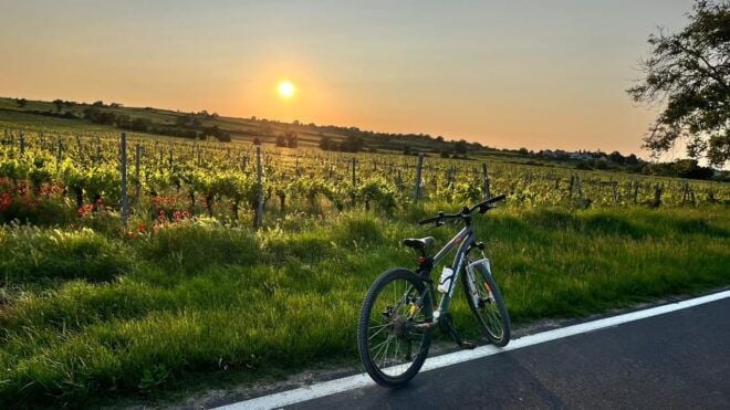 From Vienna: Burgenland Bike and Wine Tasting Tour - Itinerary Details