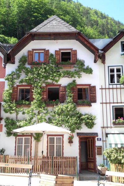 From Vienna: Guided Day Trip to Melk, Hallstatt, & Salzburg - Included Amenities