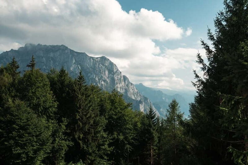 From Vienna: Hallstatt and Treetop Path Private Day Trip - A Closer Look at the Itinerary