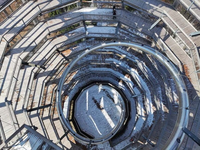 From Vienna: Hallstatt and Treetop Path Private Day Trip - What’s Included and What’s Not