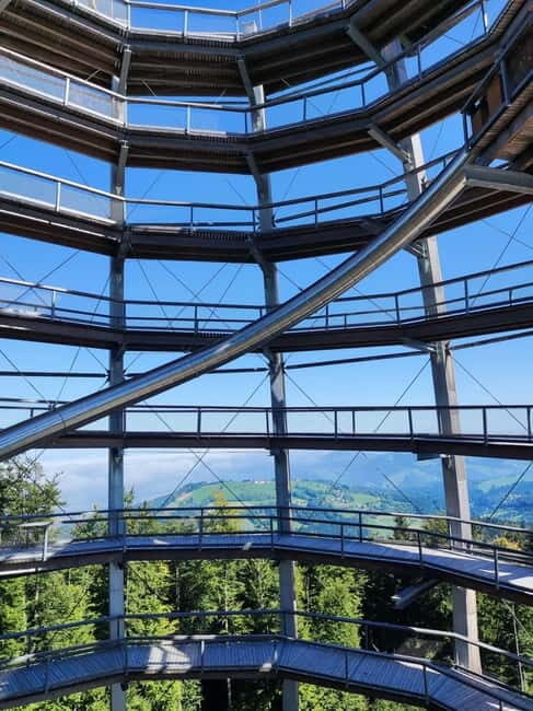 From Vienna: Hallstatt and Treetop Path Private Day Trip - Who Will Love This Tour?