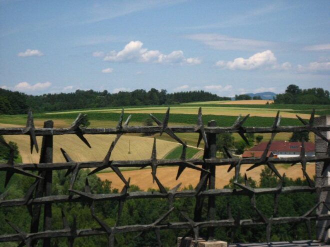 From Vienna: Mauthausen Memorial Private Day Trip - Customer Reviews