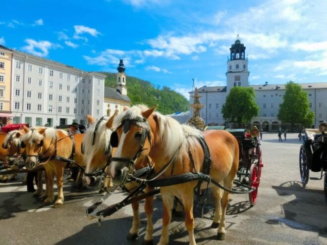 From Vienna: Salzburg Small-Group Day Trip - Additional Information