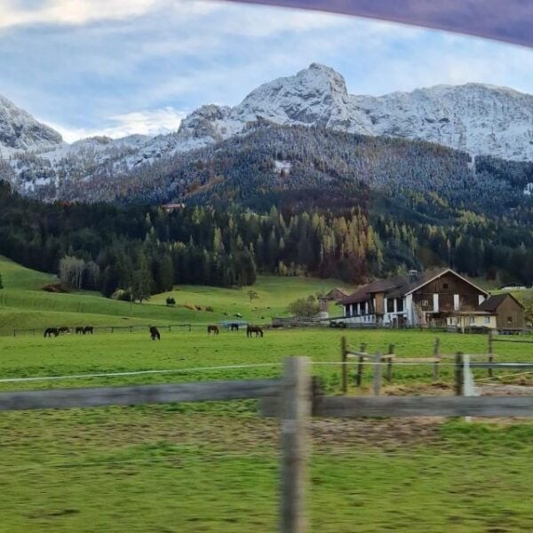 From Vienna: Wachau, Melk, Hallstatt, and Salzburg Day Trip - Start With Durnstein