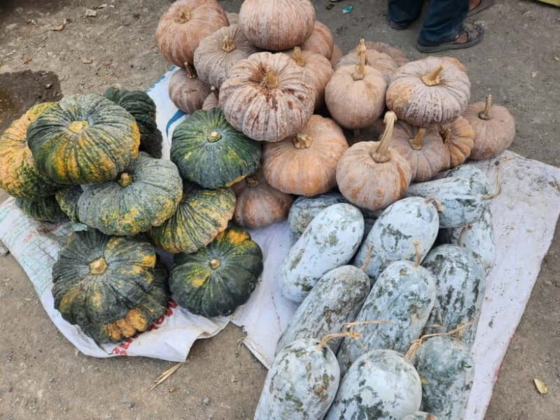 From Vientiane: Plain of Jars Tour & Homestay - War Legacy and the MAG Visitor Center