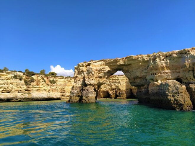 From Vilamoura: 2.5-Hour Benagil Cave and Dolphins Boat Tour - Additional Information