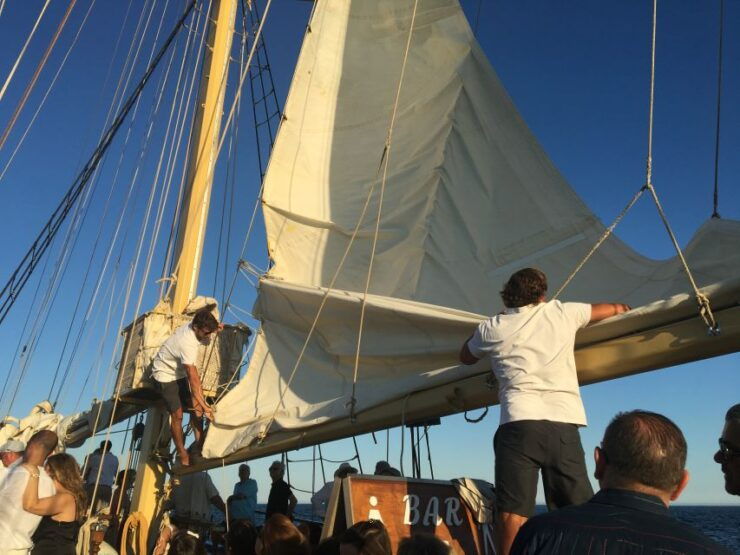 From Vilamoura: Algarve Coast 3-Hour Sailing Cruise - Booking Details