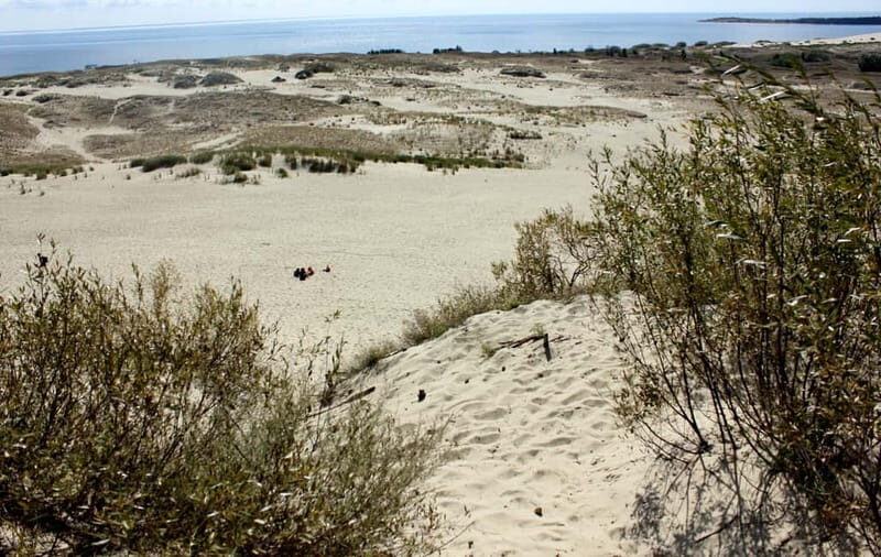 From Vilnius: Day Trip to Curonian Spit National Park - Good To Know