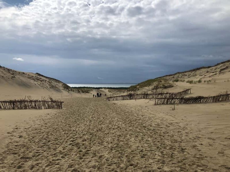 From Vilnius: Day Trip to Curonian Spit National Park - Why This Tour Is a Great Choice