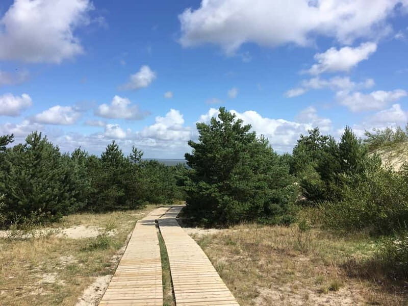 From Vilnius: Day Trip to Curonian Spit National Park - The Sum Up