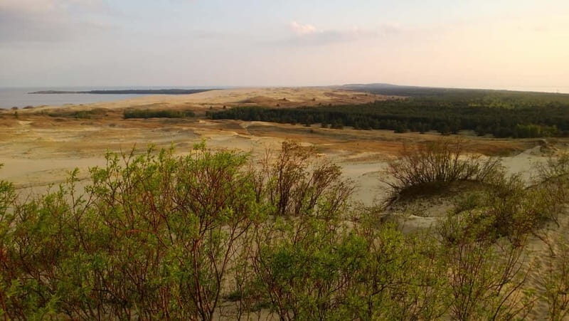 From Vilnius: Day Trip to Curonian Spit National Park - Frequently Asked Questions