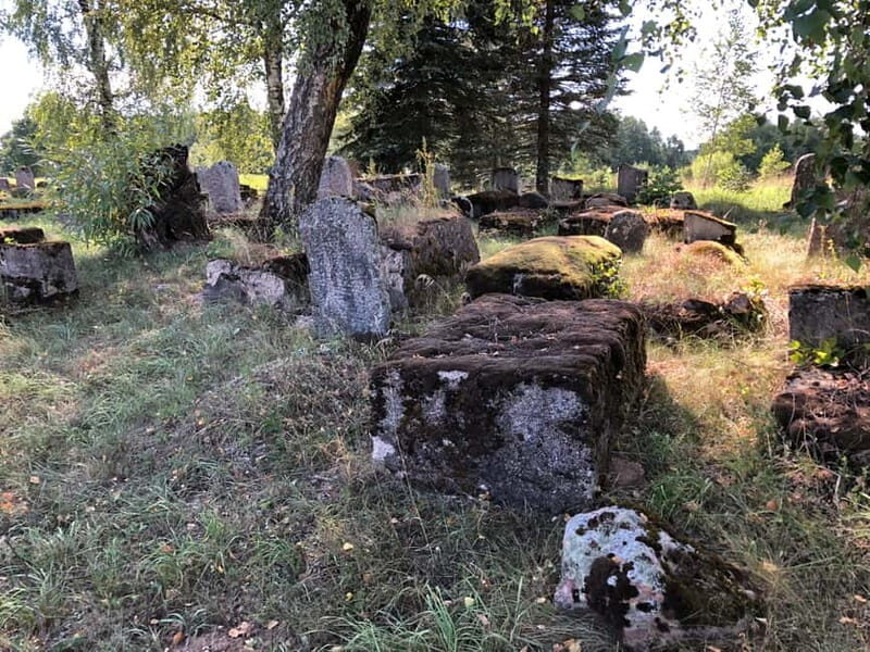 From Vilnius: Guided Jewish Heritage Day Trip to Kaunas - The Sum Up