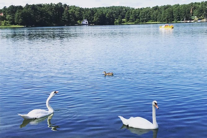 From Vilnius: Private Tour to Trakai - The Sum Up
