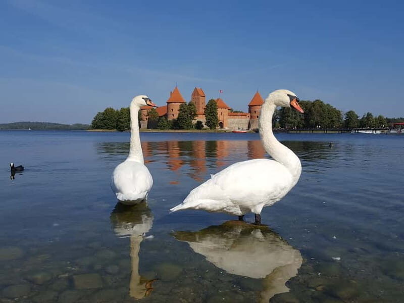 From Vilnius: Trakai Castle and Paneriai Memorial Tour - Final Recommendation