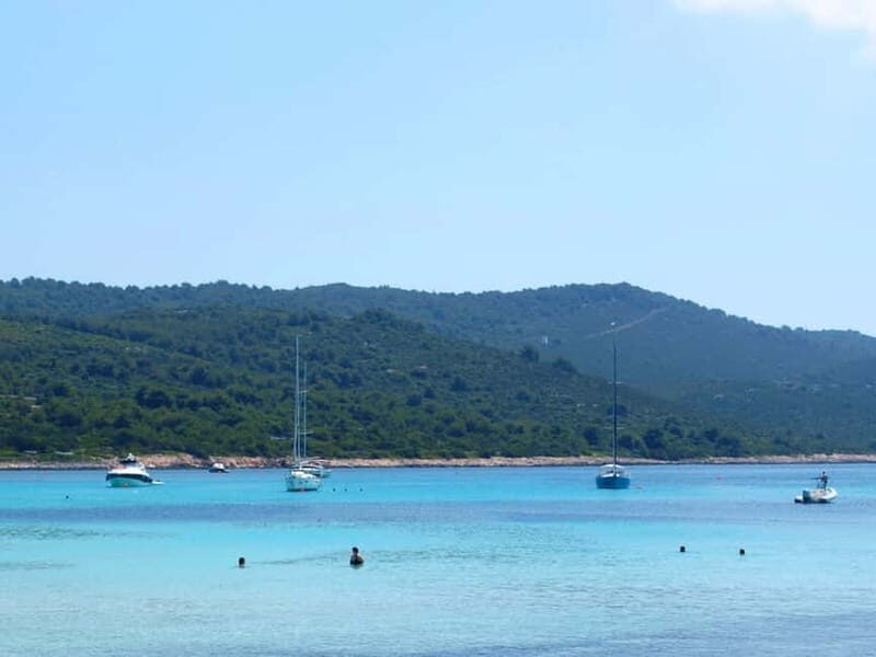 From Vir: Full-Day Guided Trip to Sakarun Beach - An In-Depth Look at the Trip