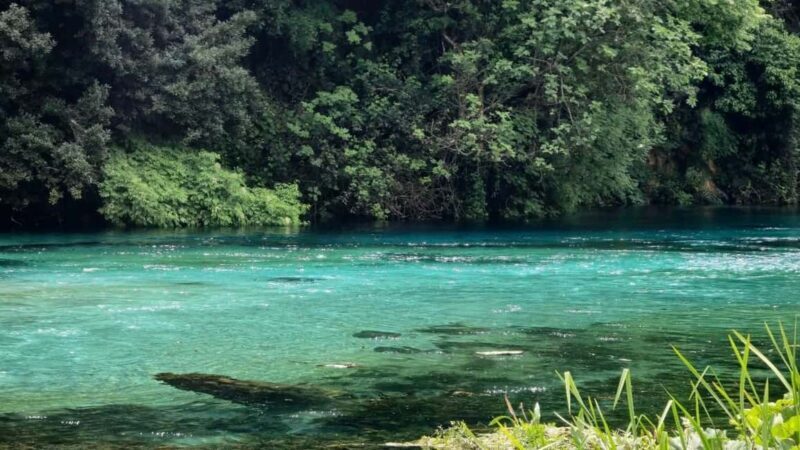 From Vlora:Tepelene Springs, Gjirokaster & Blue Eye Day Tour - A Complete Breakdown of the Day