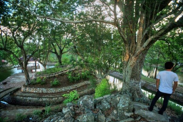 From Vung Tau: Nui Dat, Long Tan, Long Phuoc Tunnel - Transportation Information