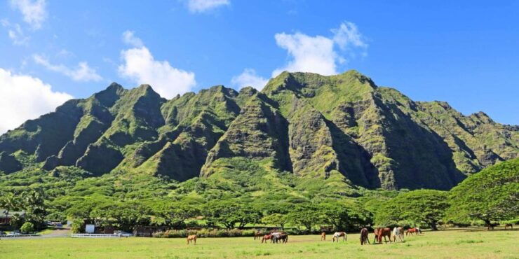 From Waikiki: Circle Island Tour - Activity Details