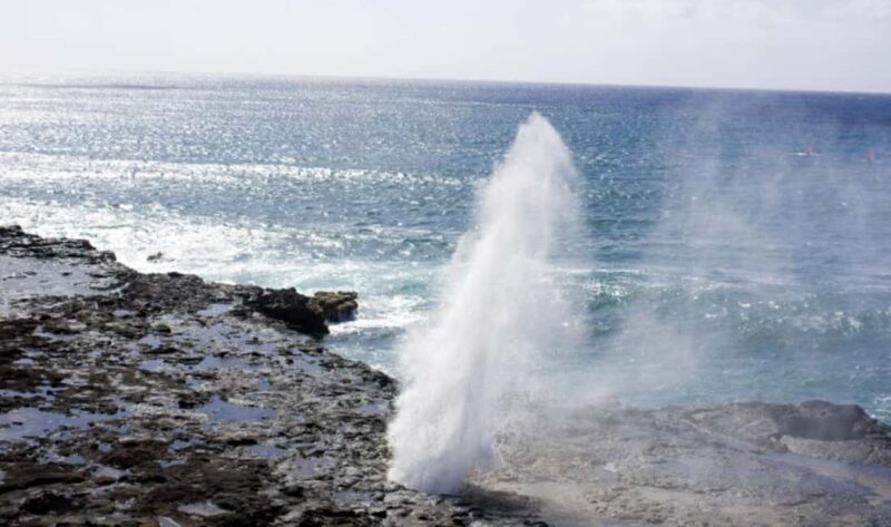 From Waikiki: Oahu Scenic Half-Day Circle Island Tour - Good To Know