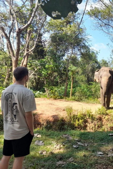 From Waligama/Mirissa Transfer to Ella via Udawalawa Safari - Included Features