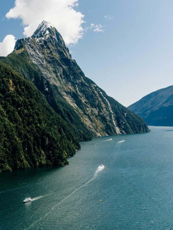 From Wanaka: Milford Sound Flight with Landing & Glaciers - The Sum Up: Who Will Love This Tour?