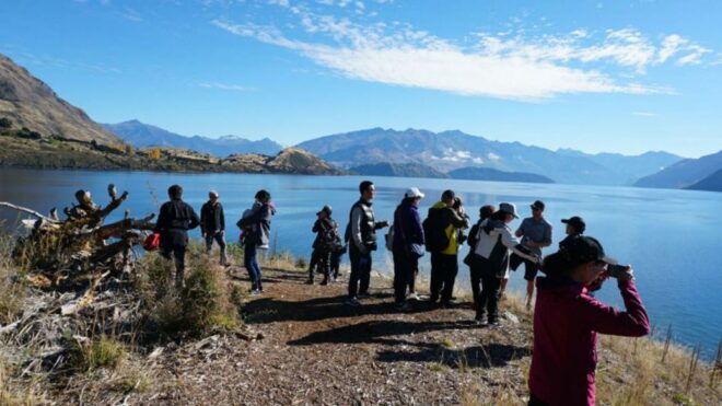 From Wanaka: Ruby Island 1-Hour Cruise and Photo Walk - Location and Departure