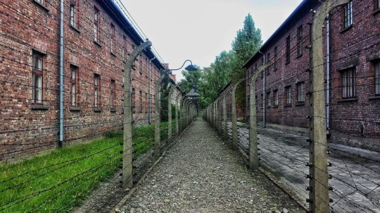 From Warsaw: Auschwitz-Birkenau Guided Tour With Fast Train - Experience
