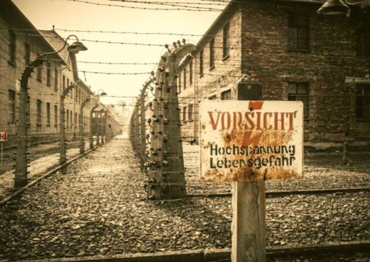 From Warsaw: Auschwitz-Birkenau Small Group Tour With Lunch - Accessibility and Group Size