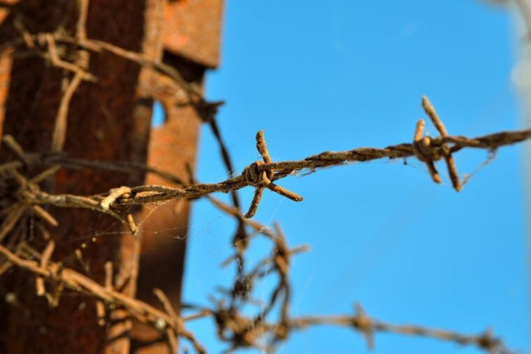 From Warsaw: Auschwitz-Birkenau Tour by Car - Final Thoughts