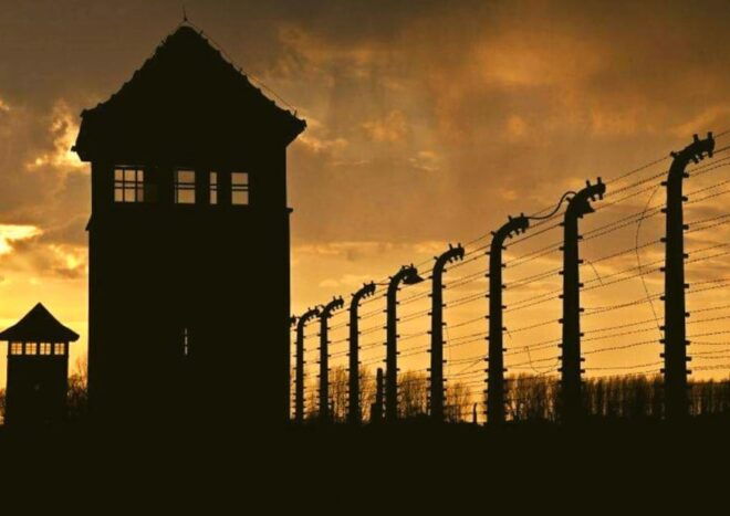 From Warsaw: Auschwitz Day Tour by Private Car With Lunch - Customer Reviews