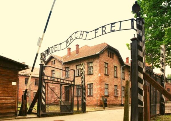 From Warsaw: Auschwitz Day Tour by Private Car With Lunch - Pickup Location and Transportation