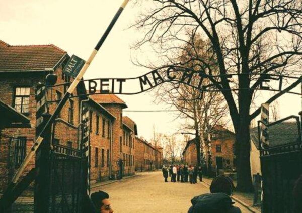 From Warsaw: Auschwitz Day Tour by Private Car With Lunch - Guided Tour of Auschwitz-Birkenau